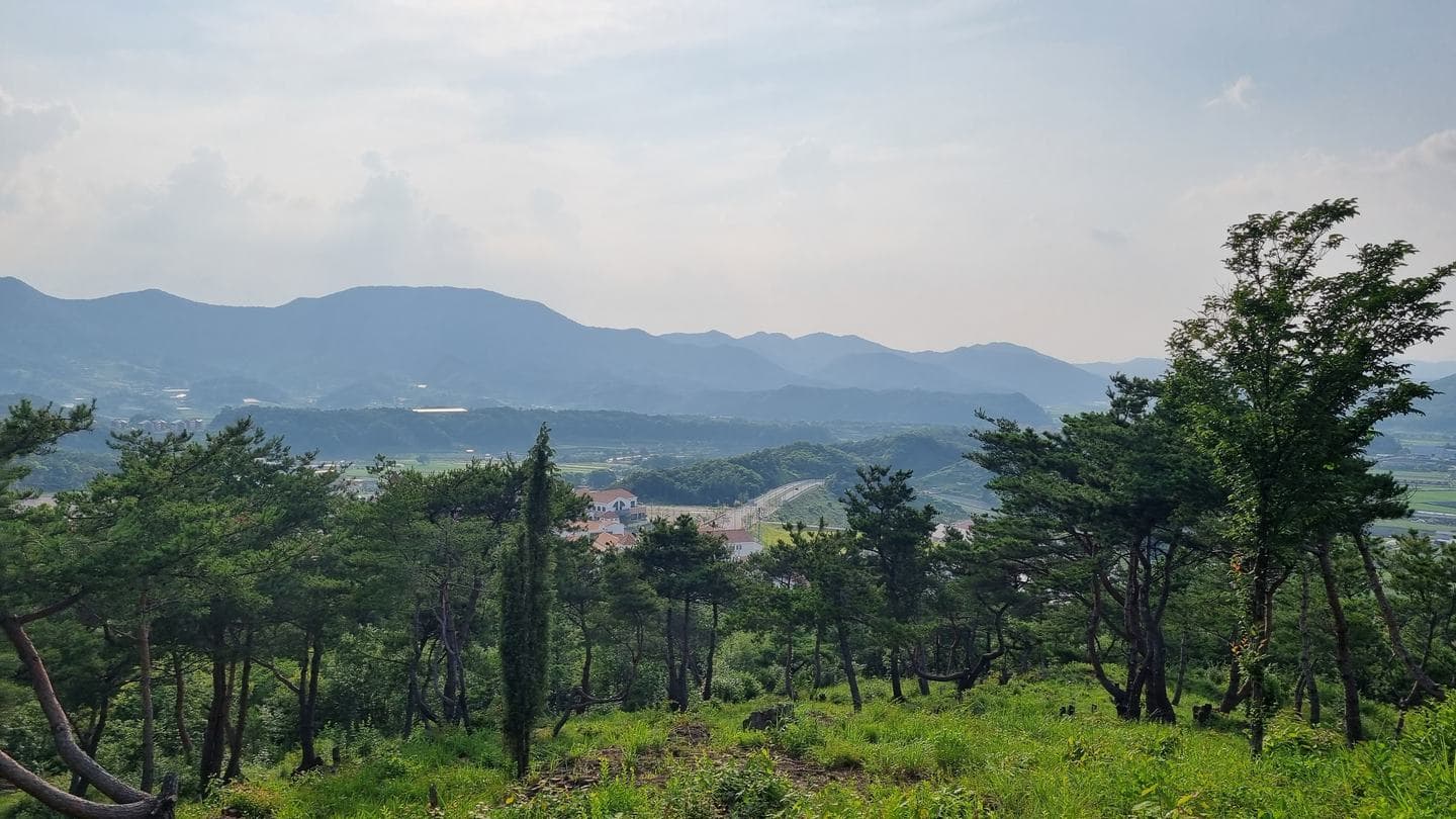 Pines along the hilltop with layered ridges beyond the valley