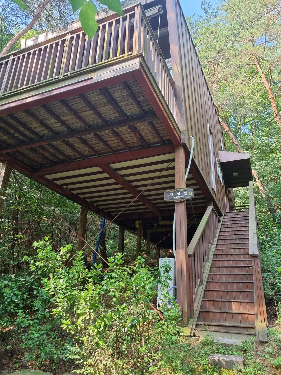 The cabin raised on stilts among the pines, a staircase leading up
