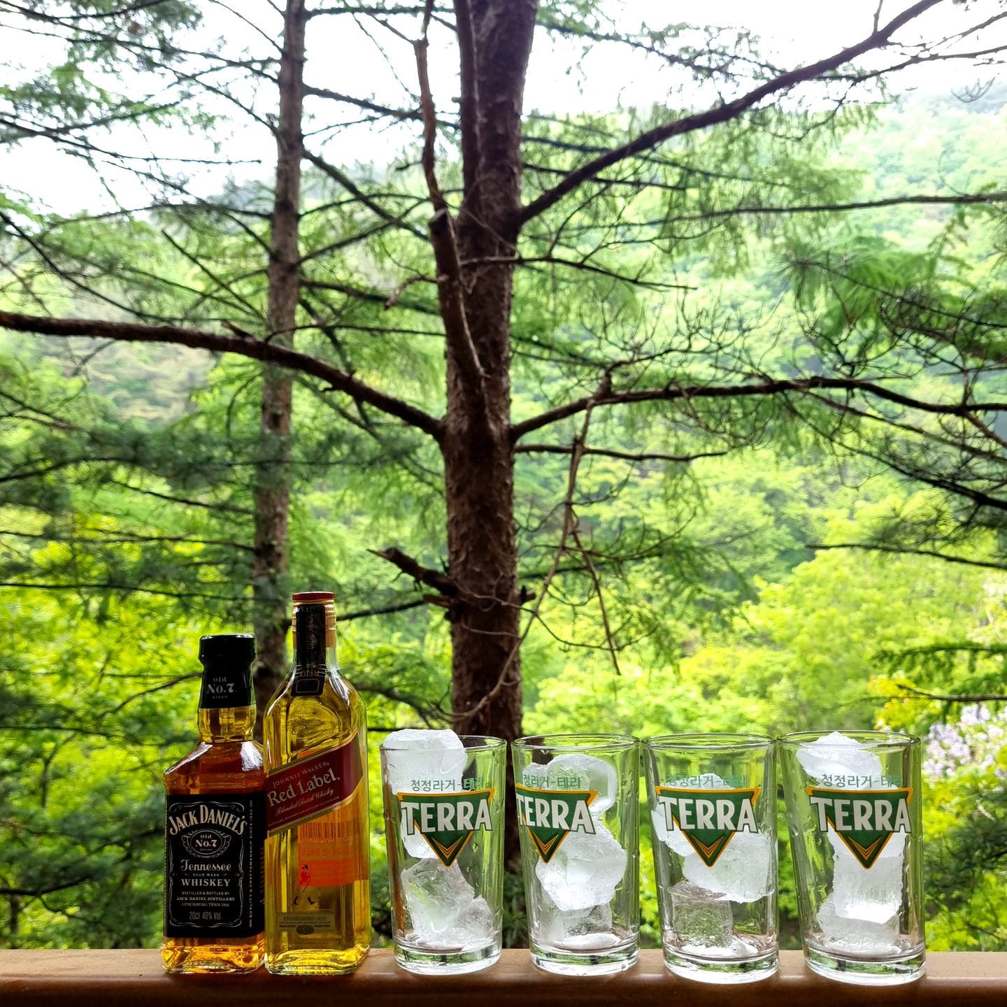 A whisky bottle and glasses on a rail with the forest behind