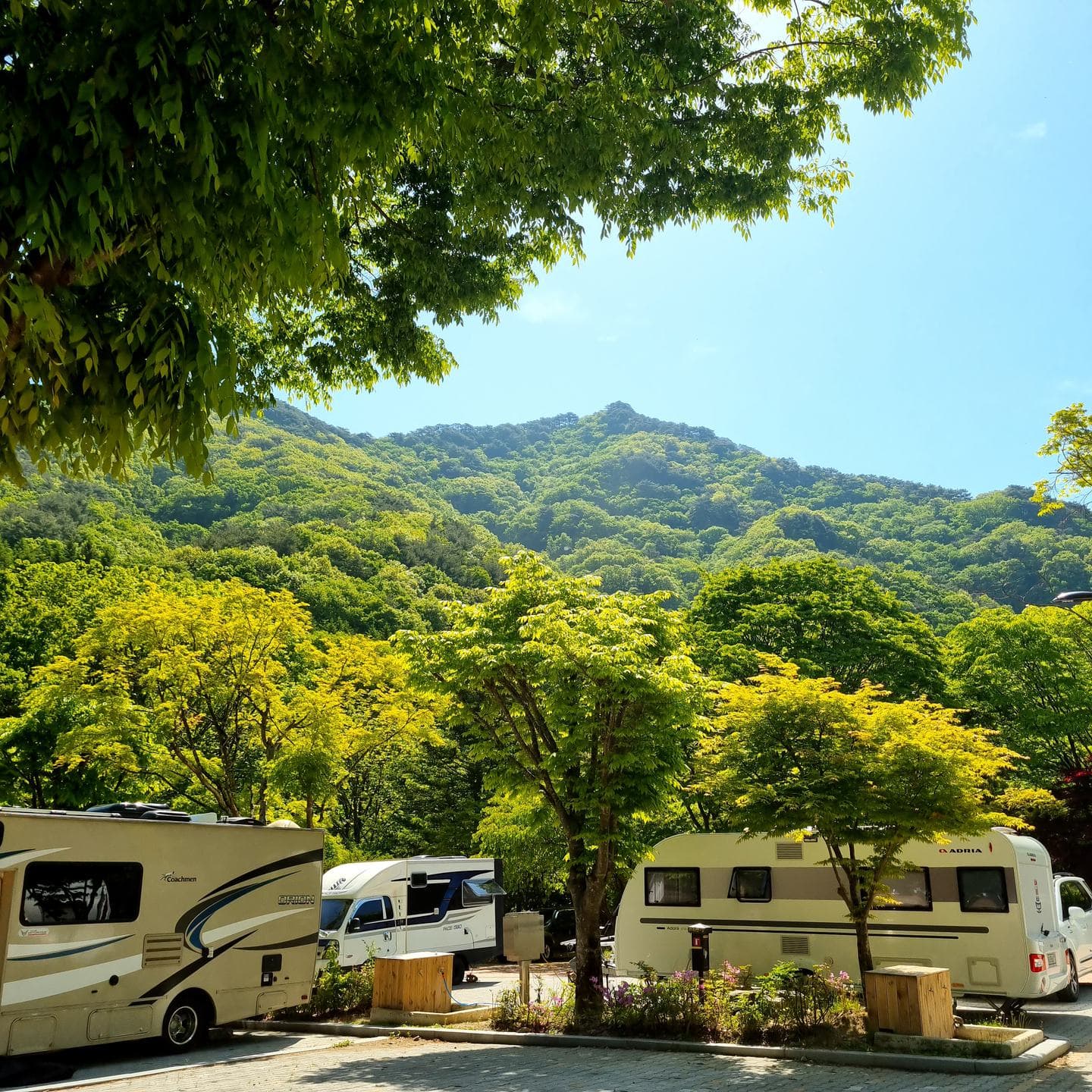 Camper vans parked beneath green mountains on a bright morning