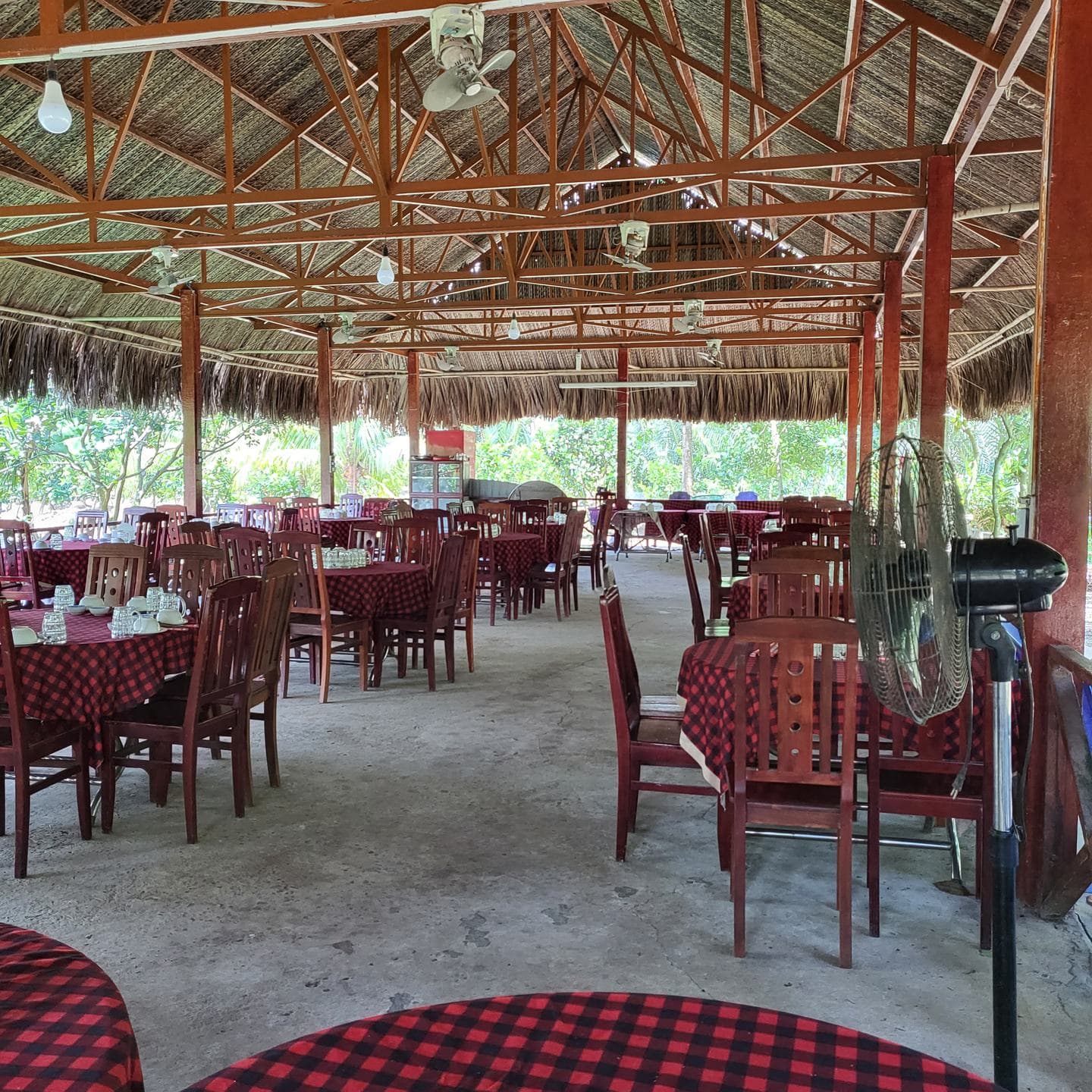 An open-sided restaurant under a thatched roof with checked tablecloths
