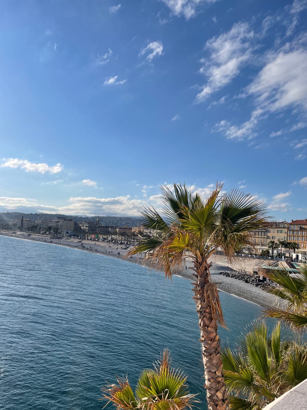 The curve of the beach in Nice, palm trees and blue water