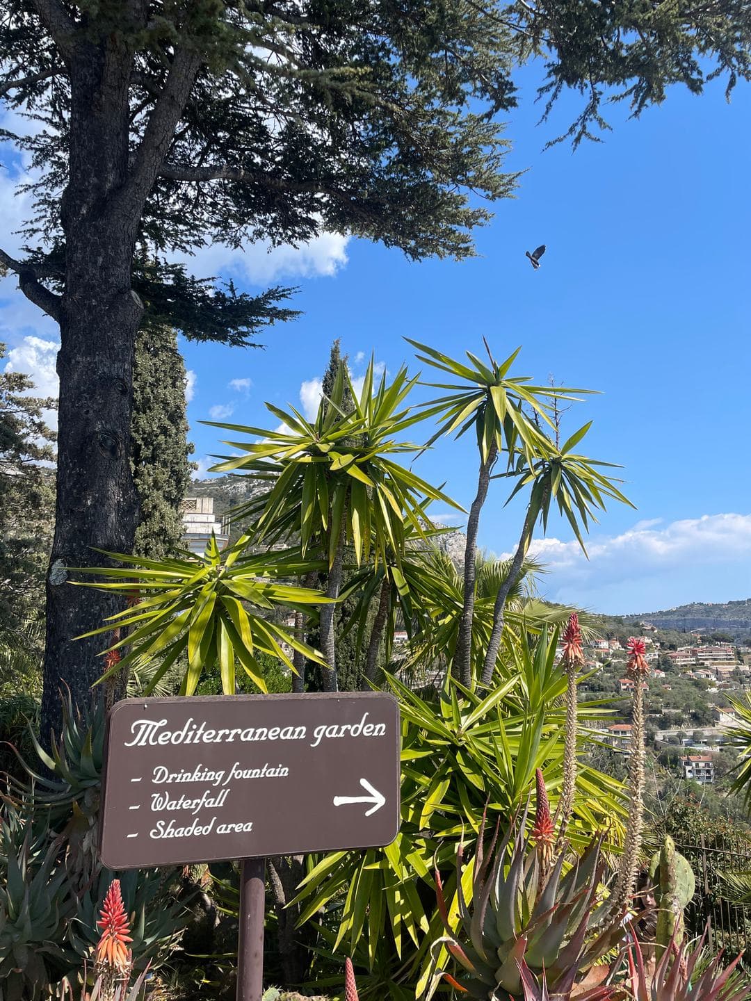 A sign for the Mediterranean garden among palms and aloes
