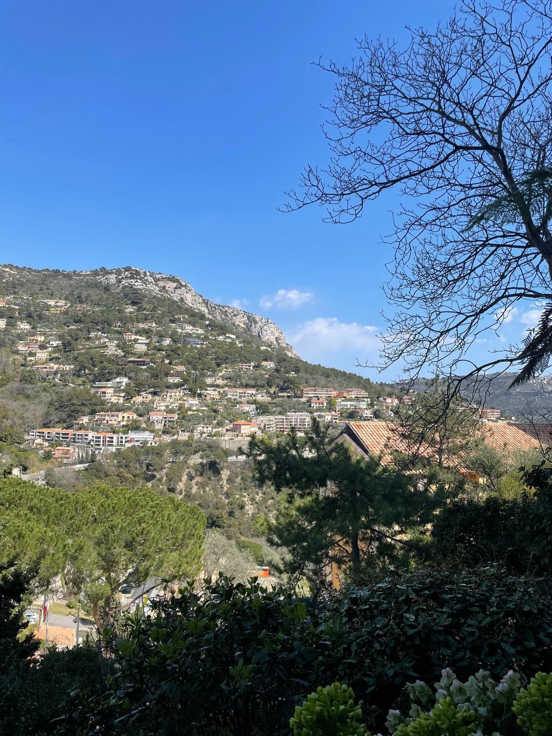 Wooded hills and villas rolling down toward the coast