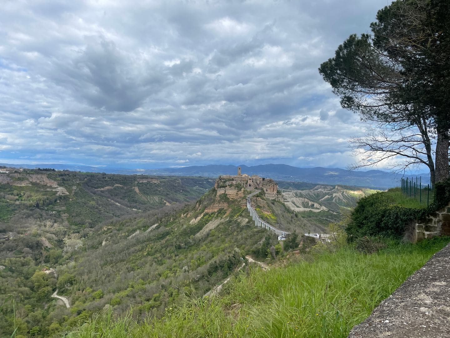 Civita in the distance above the badlands, a pine at the edge of the frame