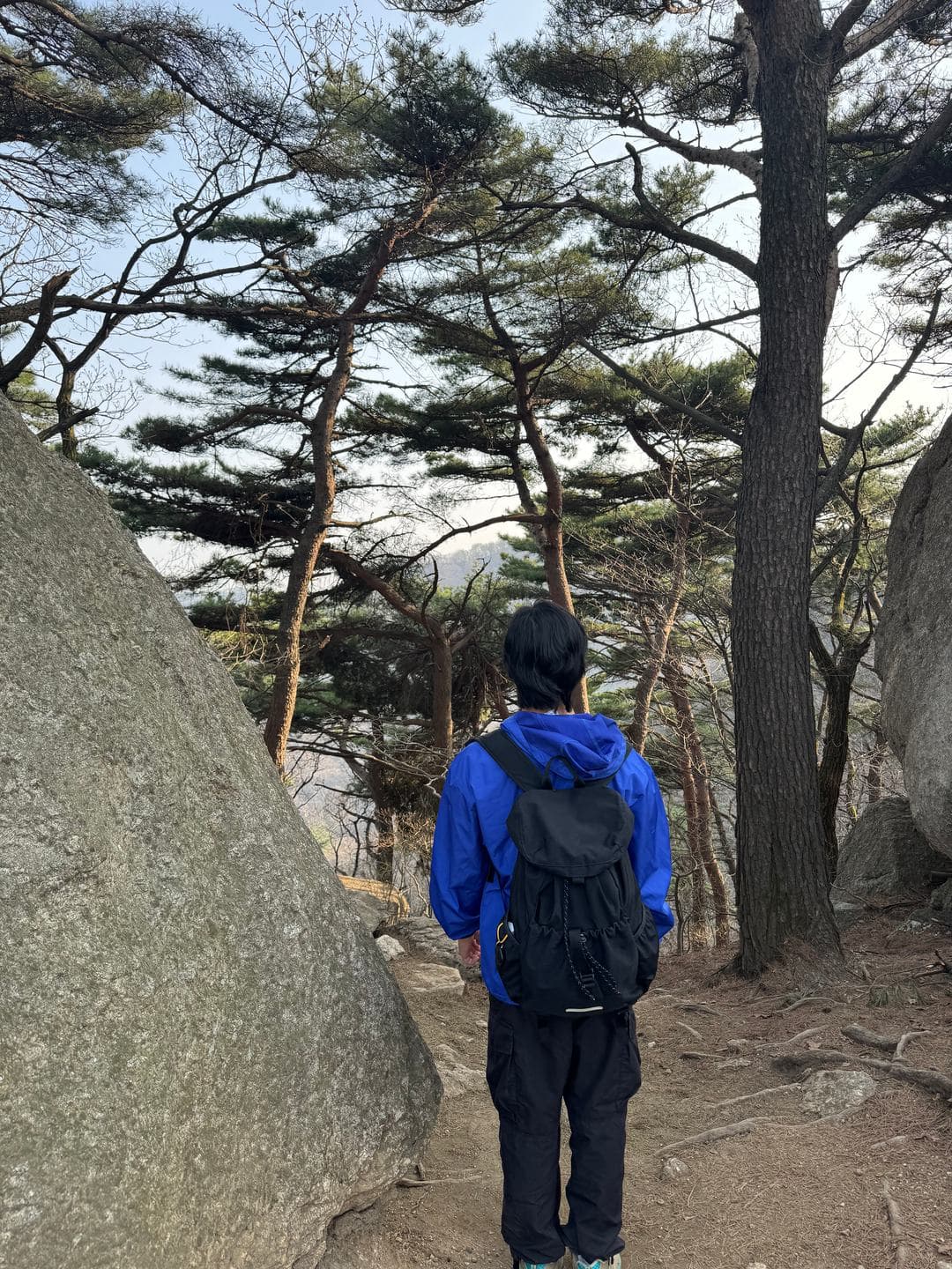 Walking on between boulders and pines