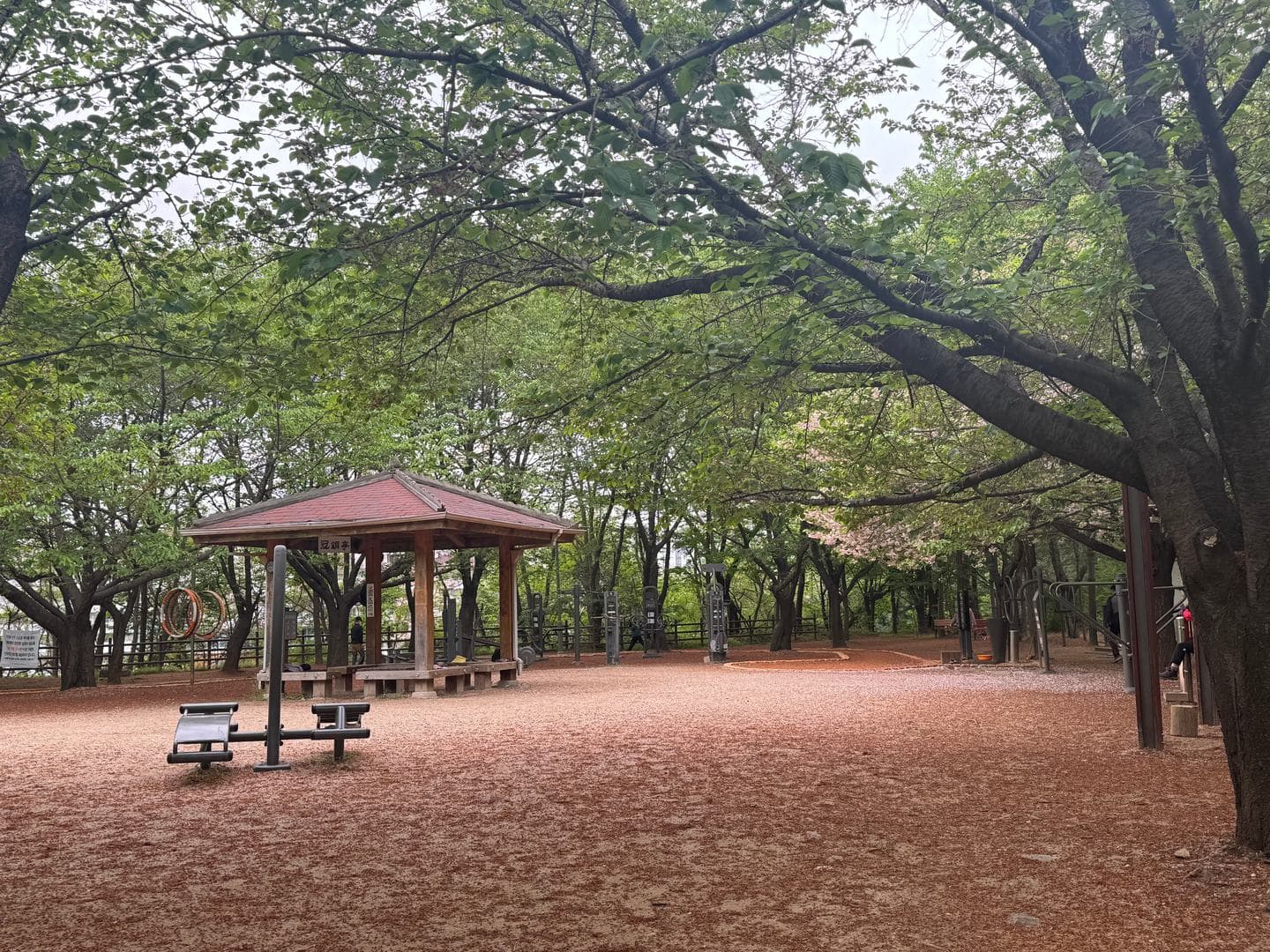 A pavilion in a clearing under a full green canopy