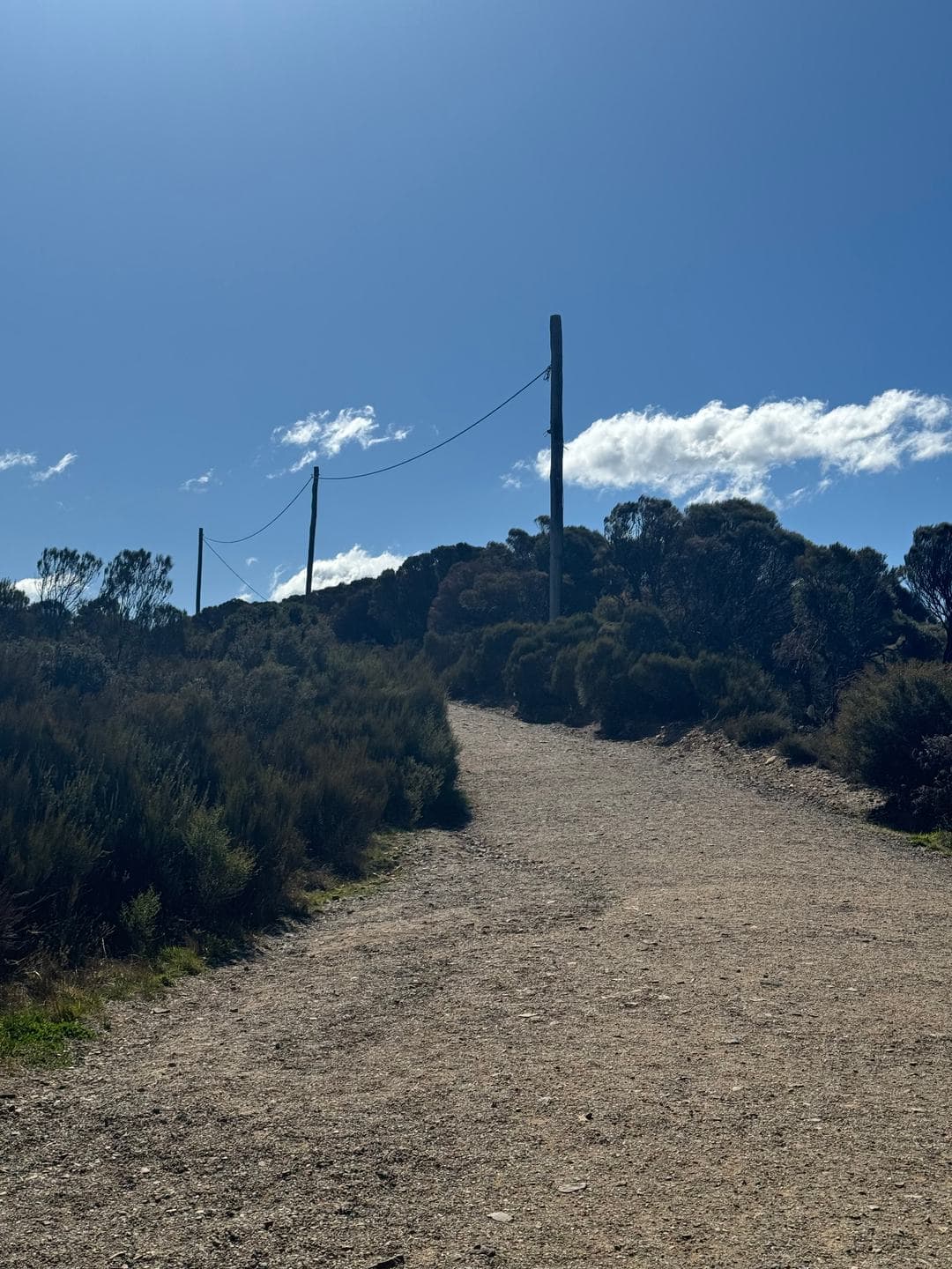 A gravel track through low heath under a winter-blue sky