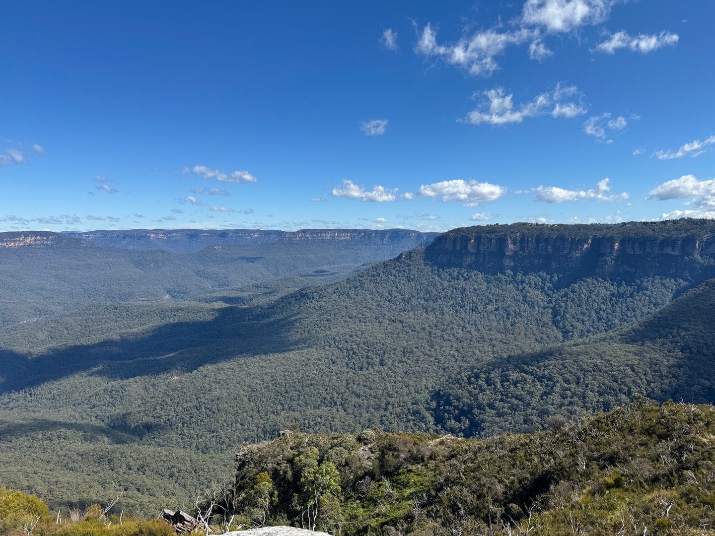 A wide valley of eucalyptus forest below sheer sandstone cliffs
