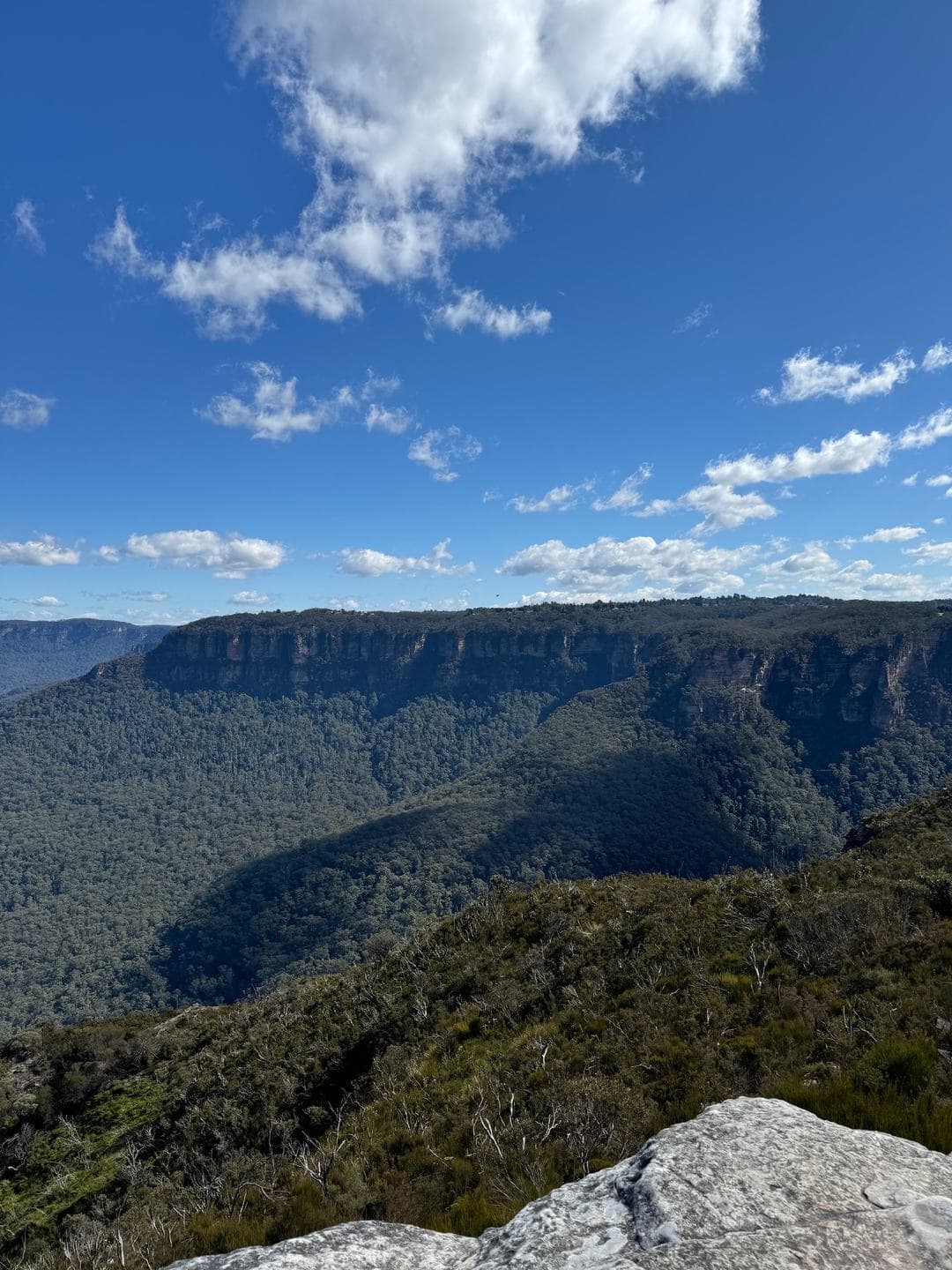 Cliffs and forest stretching away toward the horizon