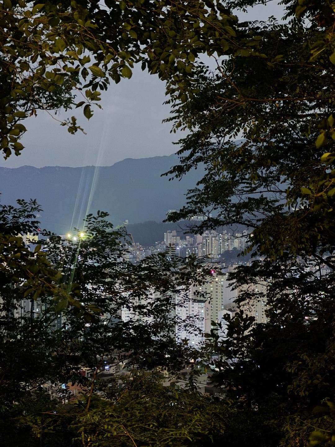 City lights and a far ridge through the trees at night