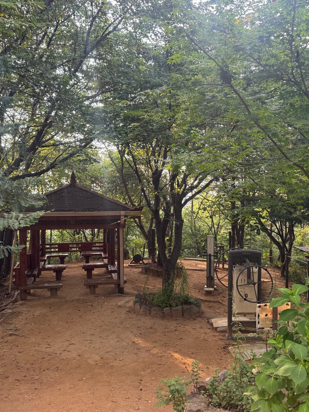 A wooden pavilion and exercise machines on the summit