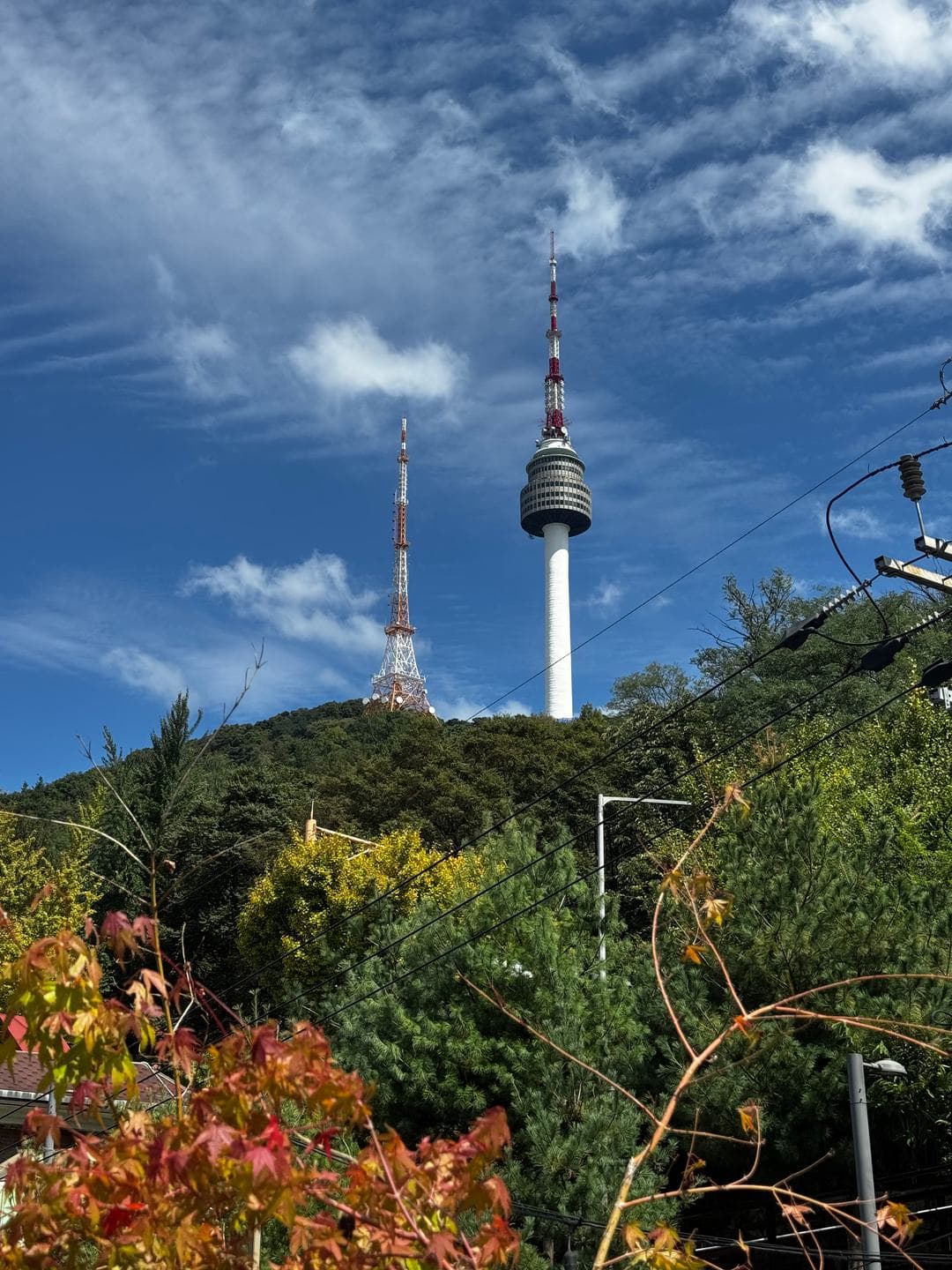 N Seoul Tower above autumn leaves
