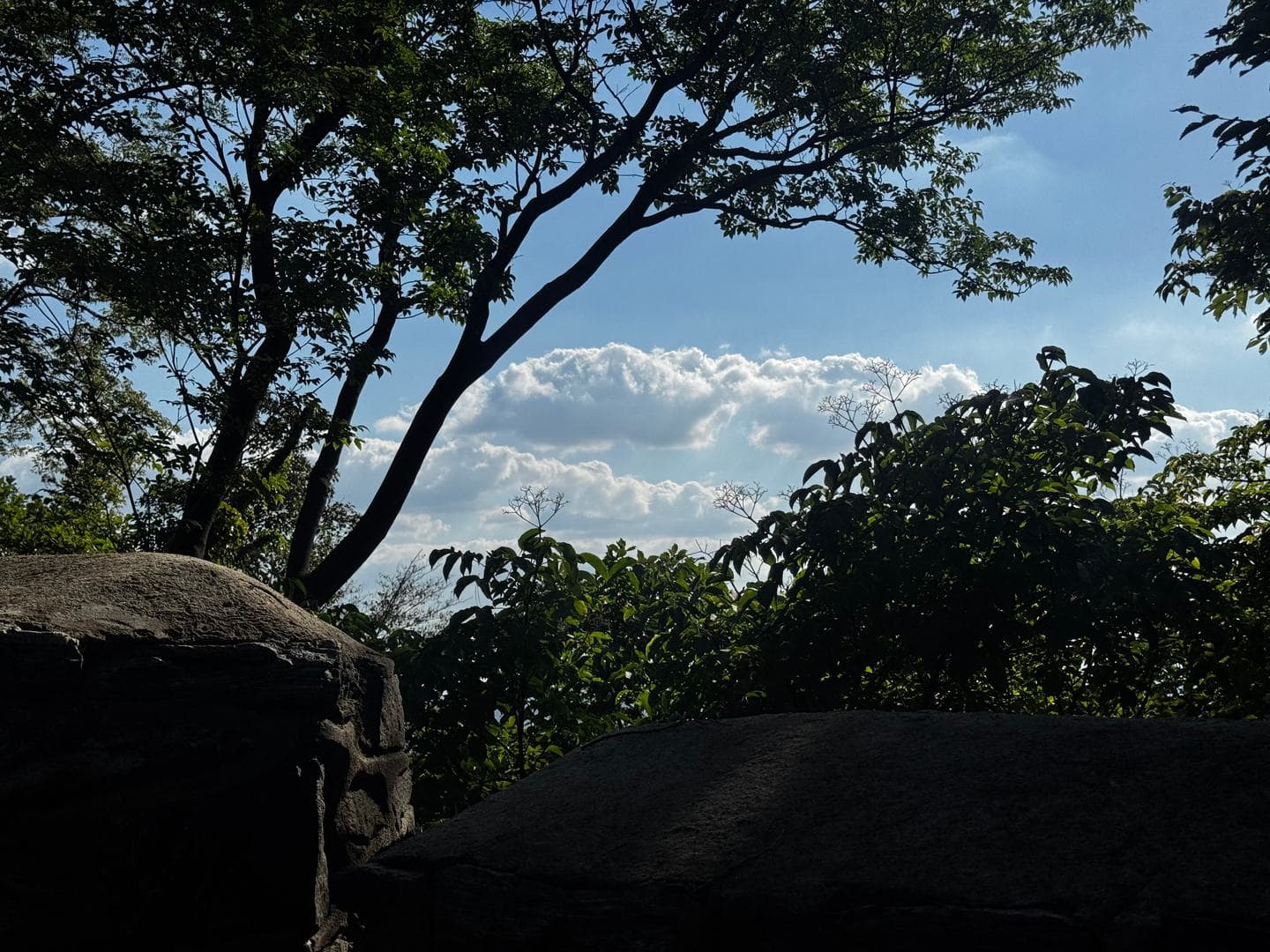 Rocks and trees silhouetted against the sky