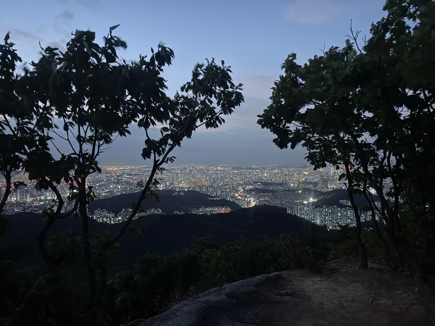 The night view framed by trees from the rocky summit
